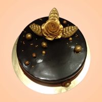 Premium chocolate cake with glossy topping